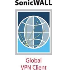 Global VPN Client 100 User License
