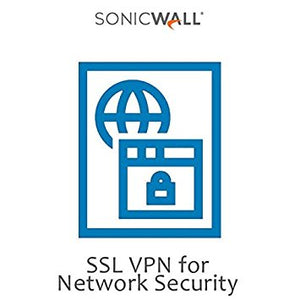 SSL VPN 100 User License